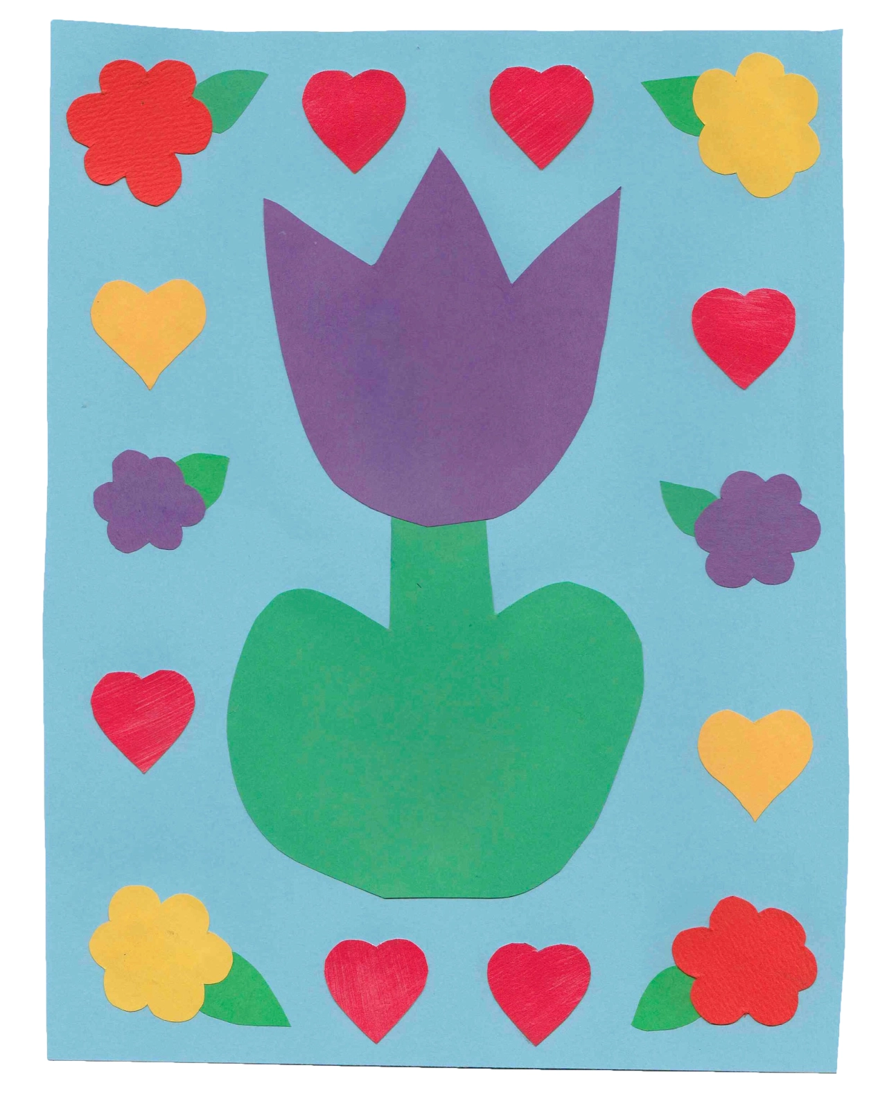 Tulip