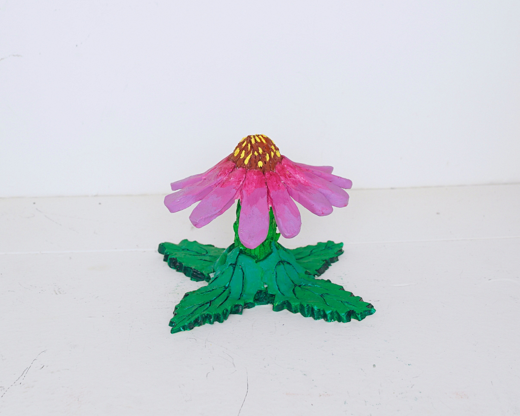 Purple Cone Flower